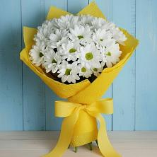 Букет цветов из:  Хризантемы в Бакунино