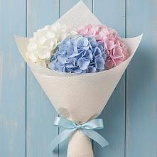 Букет цветов из:  Гортензия в Бакунино