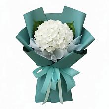 Букет цветов из:  Гортензия в Бакунино